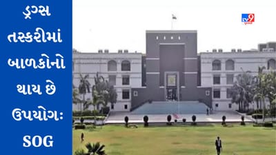 Ahmedabad : ડ્રગ્સની તસ્કરીમાં નાના બાળકોનો કરાય છે ઉપયોગ, ગુજરાત હાઈકોર્ટમાં રાજ્ય સરકાર દ્વારા રજૂ કરાયેલી એફિડેવિટમાં કરાયો સ્વીકાર