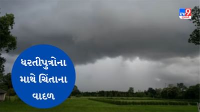 Rain Breaking News : તાપીના સાદડુન ગામ તેમજ આસપાસના વિસ્તારોમાં ભરઉનાળે વરસ્યો વરસાદ, જુઓ Video Rain Breaking News : તાપીના સાદડુન ગામ તેમજ આસપાસના વિસ્તારોમાં ભરઉનાળે વરસ્યો વરસાદ, જુઓ Video