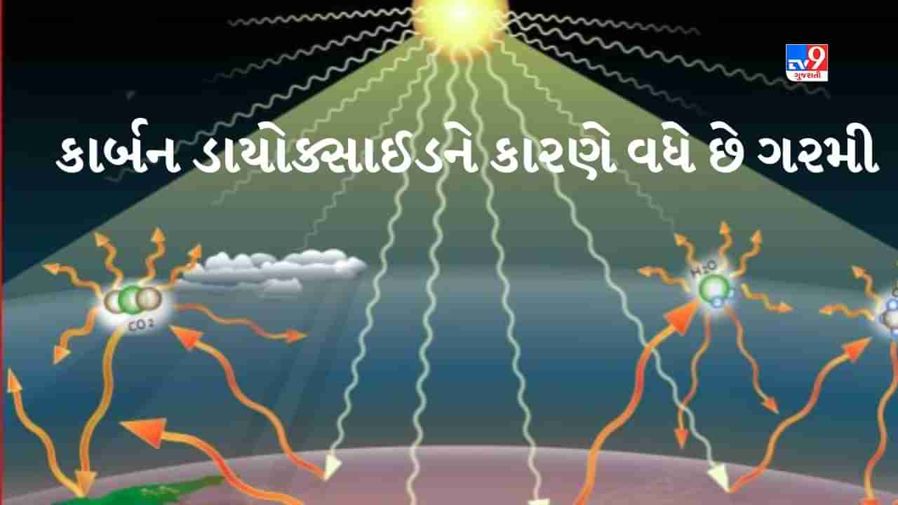 Weather News: ગરમીને લઈ વૈજ્ઞાનિકોનો દાવો, કાર્બન ડાયોક્સાઈડનું પ્રમાણ નહીં ઘટે તો ગરમીનો પારો 50 ડિગ્રીને પાર જશે !