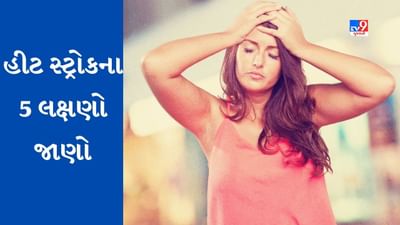 હીટ સ્ટ્રોકના આ 5 લક્ષણોને થાક માનવાની ભૂલ ન કરતા, જાણો કઈ રીતે મેળવશો રિકવરી