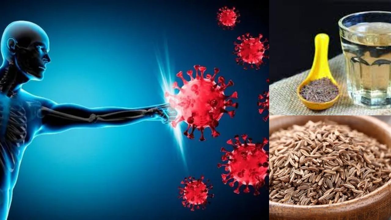 રોગપ્રતિકારક શક્તિ વધારવામાં મદદરૂપઃ જીરું પાણી રોગપ્રતિકારક શક્તિ વધારવાનું કામ કરે છે. એનિમિયાની સારી સારવાર માટે પણ તેનો ઉપયોગ થાય છે.