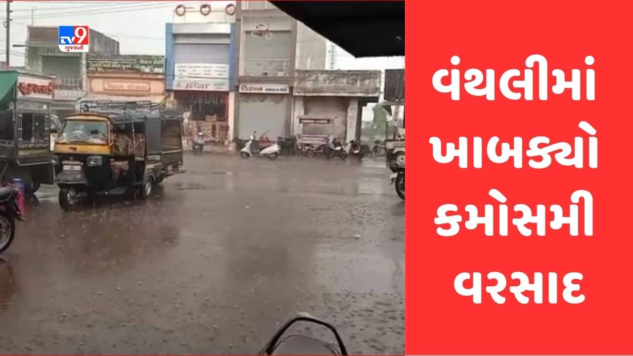 Gujarati Video: જુનાગઢના વંથલી સહિત ગ્રામ્ય વિસ્તારમાં કમોસમી વરસાદ, કેરીના પાકને નુકસાનની ભીતિ