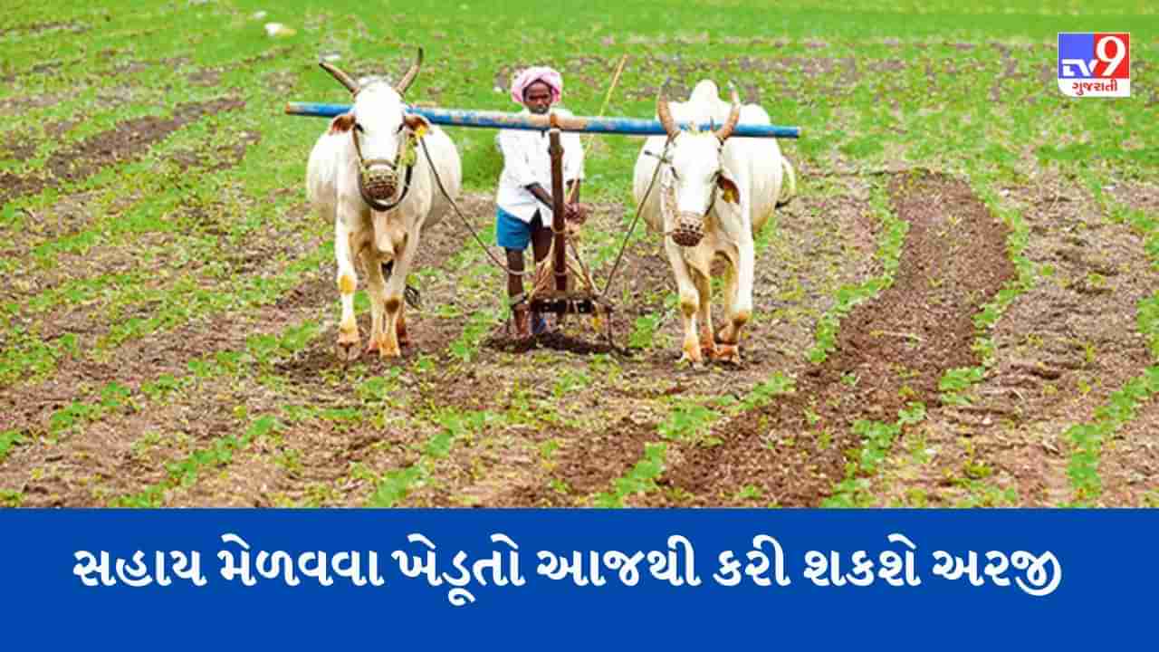 Breaking News : રાજ્ય સરકારે જાહેર કરેલા 330 કરોડના સહાય પેકેજનો લાભ લેવા ખેડૂતો આજથી ઇ ખેડૂત પોર્ટલ પર કરી શકશે અરજી