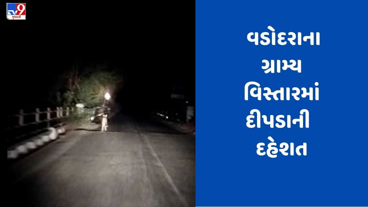 Gujarati Video: વડોદરામાં પાદરા-કરજણ હાઈવે પર દીપડો દેખાયો, જુઓ Video