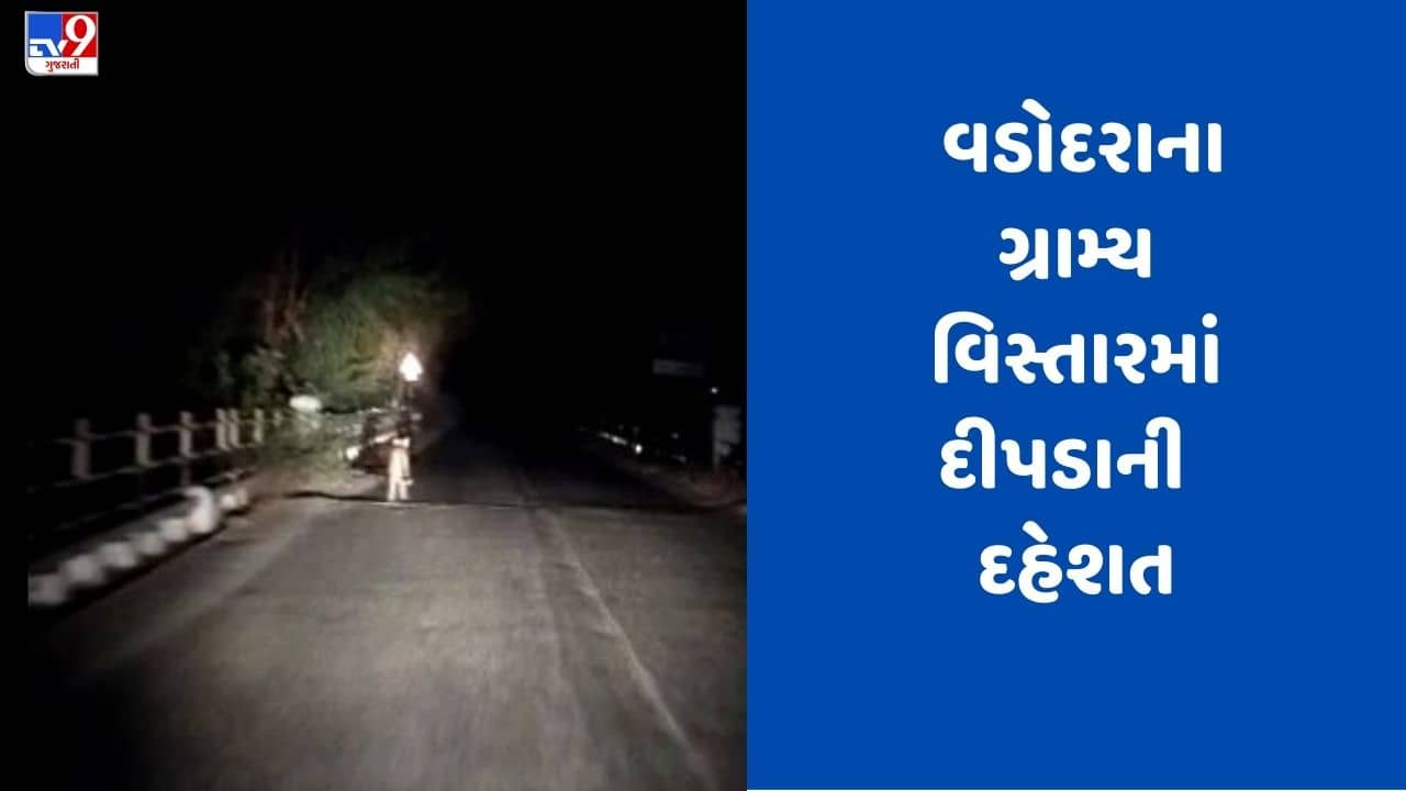 Gujarati Video: વડોદરામાં પાદરા-કરજણ હાઈવે પર દીપડો દેખાયો, જુઓ Video