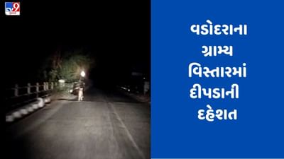 Gujarati Video: વડોદરામાં પાદરા-કરજણ હાઈવે પર દીપડો દેખાયો, જુઓ Video