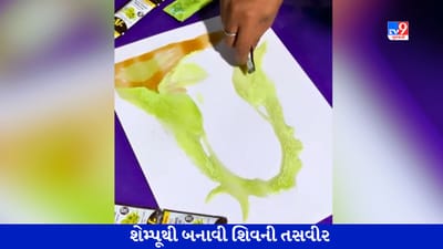 Viral Video: શેમ્પૂથી બનાવી ભગવાન શિવની તસવીર, રામ-રામ લખી હનુમાનજીની તસવીર પણ બનાવી, વીડિયો જોઈ લોકો મંત્રમુગ્ધ થયા