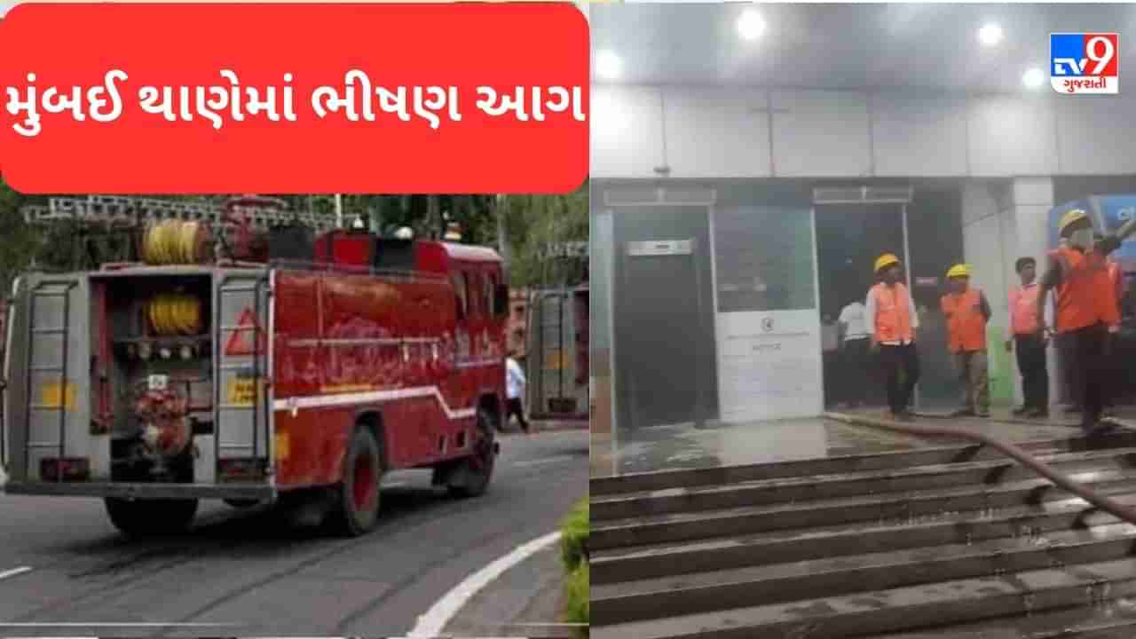 Breaking News: મુંબઈને અડીને આવેલા થાણેના ઘોડબંદર રોડ પર સીને વંડર મોલમાં ભીષણ આગ લાગી, જુઓ Video