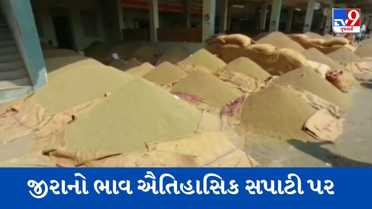 Mehsana : ઊંઝા માર્કેટ યાર્ડમાં જીરાનો ભાવ ઐતિહાસિક સપાટીએ પહોંચતા ધરતીપુત્રો ખુશખુશાલ