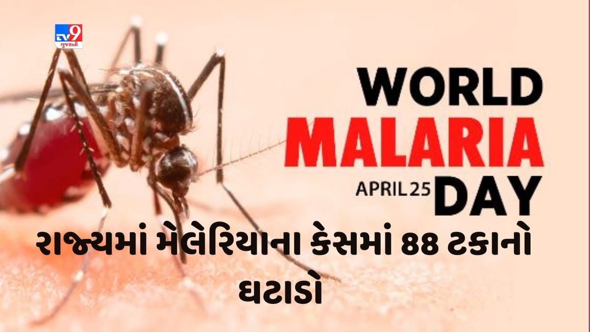 Ahmedabad: મેલેરિયાને નાથવામાં રાજ્યના આરોગ્ય વિભાગની મહત્વપૂર્ણ કામગીરી, છેલ્લા 10 વર્ષમાં મેલેરિયાના કેસમાં 88 ટકાનો થયો ઘટાડો Ahmedabad: મેલેરિયાને નાથવામાં રાજ્યના આરોગ્ય વિભાગની મહત્વપૂર્ણ કામગીરી, છેલ્લા 10 વર્ષમાં મેલેરિયાના કેસમાં 88 ટકાનો થયો ઘટાડો