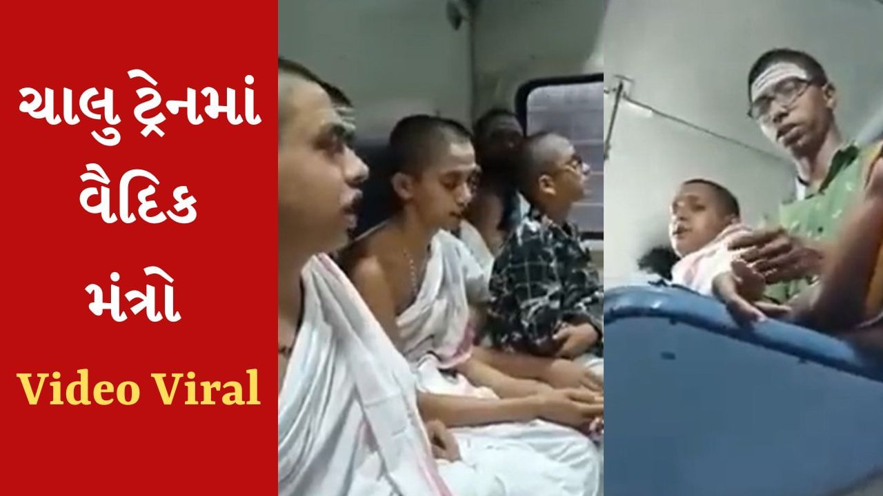 Viral Video : મોરના ઈંડા ચીતરવા ના પડે આ વાત સાર્થક કરતો વીડિયો સોશિયલ મીડિયામાં વાઇરલ