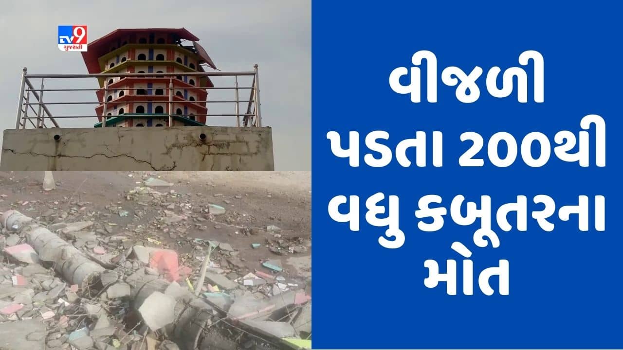 Rain Breaking : મહેસાણાના નંદાસણમાં કરા સાથે વરસાદ, 200થી વધુ કબૂતરના થયા મોત, જુઓ Video