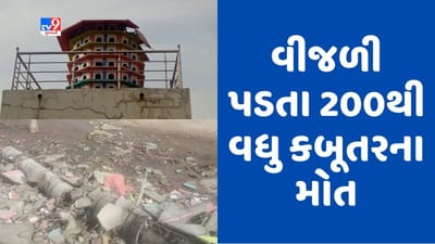 Rain Breaking : મહેસાણાના નંદાસણમાં કરા સાથે વરસાદ, 200થી વધુ કબૂતરના થયા મોત, જુઓ Video