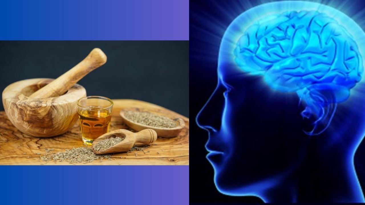 યાદશક્તિ વધારવામાં મદદરૂપઃ જીરાનું પાણી રોજ પીવાથી યાદશક્તિ વધે છે.હ્રદય સ્વસ્થ રહે છે, તમે દિવસભર તાજગી અનુભવી શકો છો.