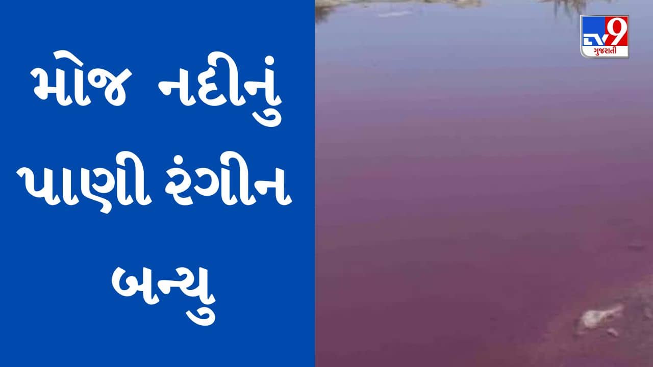 Rajkot: મોજ નદીનું પાણી બન્યુ રંગીન, ઉદ્યોગો દ્વારા નદીમાં કેમિકલયુક્ત પાણી છોડવાનો સ્થાનિકોનો આક્ષેપ, જુઓ Video