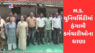 Gujarati Video: વડોદરાની MS યુનિવર્સિટી ફરી આવી વિવાદમાં, વિવિધ પડતર પ્રશ્નો મુદ્દે 800 કાર્યકરોએ કર્યા ધરણા Gujarati Video: વડોદરાની MS યુનિવર્સિટી ફરી આવી વિવાદમાં, વિવિધ પડતર પ્રશ્નો મુદ્દે 800 કાર્યકરોએ કર્યા ધરણા