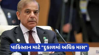 Pakistan Crisis : પાકિસ્તાનની મુશ્કેલીમાં વધારો ! ત્રણ વર્ષમાં જ ચૂકવું પડશે 77.5 અબજ યુએસ ડોલરનું દેવું !, યુએસ થિંક ટેન્કે આપી ચેતવણી