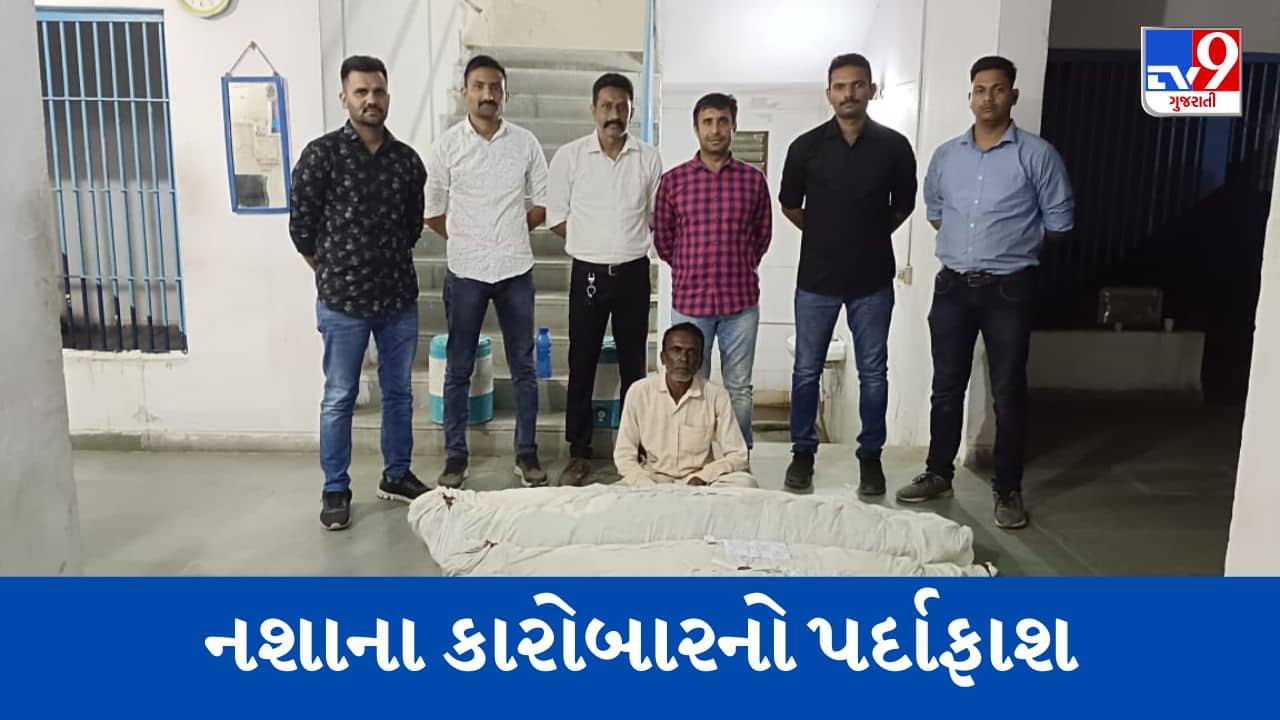 Panchmahal : તાજપુરી ગામમાં 39 કિલો ગાંજાના છોડ ઝડપાયા, ગોધરા SOGએ મુદ્દામાલ સહિત ખેતર માલિકની કરી ધરપકડ, જુઓ Video