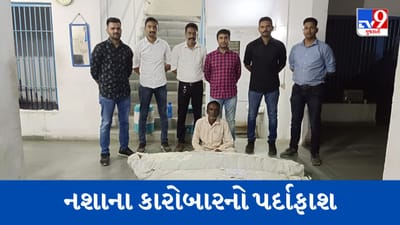 Panchmahal : તાજપુરી ગામમાં 39 કિલો ગાંજાના છોડ ઝડપાયા, ગોધરા SOGએ મુદ્દામાલ સહિત ખેતર માલિકની કરી ધરપકડ, જુઓ Video