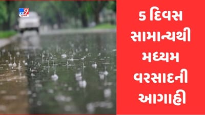 Gujarati video: ગુજરાતમાં હજુ પાંચ દિવસ વરસાદી સંકટ યથાવત રહેશે, સૌરાષ્ટ્ર, મધ્ય અને ઉત્તર ગુજરાતમાં પડશે વરસાદ