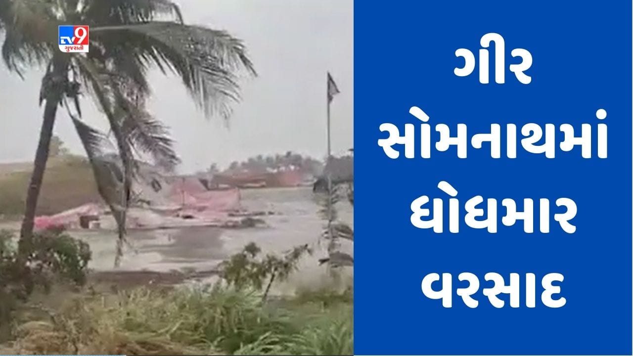 Gujarati Video : ગીર ગઢડાના ગીર નજીકના ગામોમાં ભારે પવન સાથે વરસાદ, ઝાંખીયા, થોરડી, બાબરીયા સહિતના ગામોમાં વરસાદ Gujarati Video : ગીર ગઢડાના ગીર નજીકના ગામોમાં ભારે પવન સાથે વરસાદ, ઝાંખીયા, થોરડી, બાબરીયા સહિતના ગામોમાં વરસાદ