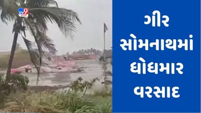 Gujarati Video : ગીર ગઢડાના ગીર નજીકના ગામોમાં ભારે પવન સાથે વરસાદ, ઝાંખીયા, થોરડી, બાબરીયા સહિતના ગામોમાં વરસાદ
