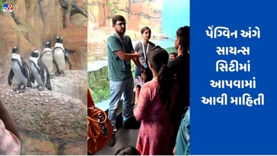 Ahmedabad: ગુજરાત સાયન્સ સિટીમાં વિશ્વ પેંગ્વિન દિવસની થઈ ઉજવણી, બાળકો પેંગ્વિન નિહાળીને થયા ખુશખુશાલ