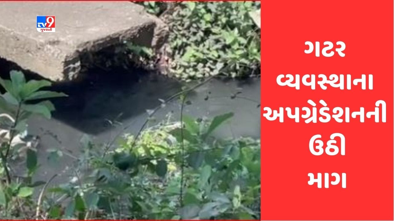 Gujarati Video: નવસારી નગરપાલિકા દ્વારા ગટર વ્યવસ્થાના અપગ્રેડેશનની કામગીરી નહીં કરાતા સ્થાનિકોમાં રોષ Gujarati Video: નવસારી નગરપાલિકા દ્વારા ગટર વ્યવસ્થાના અપગ્રેડેશનની કામગીરી નહીં કરાતા સ્થાનિકોમાં રોષ