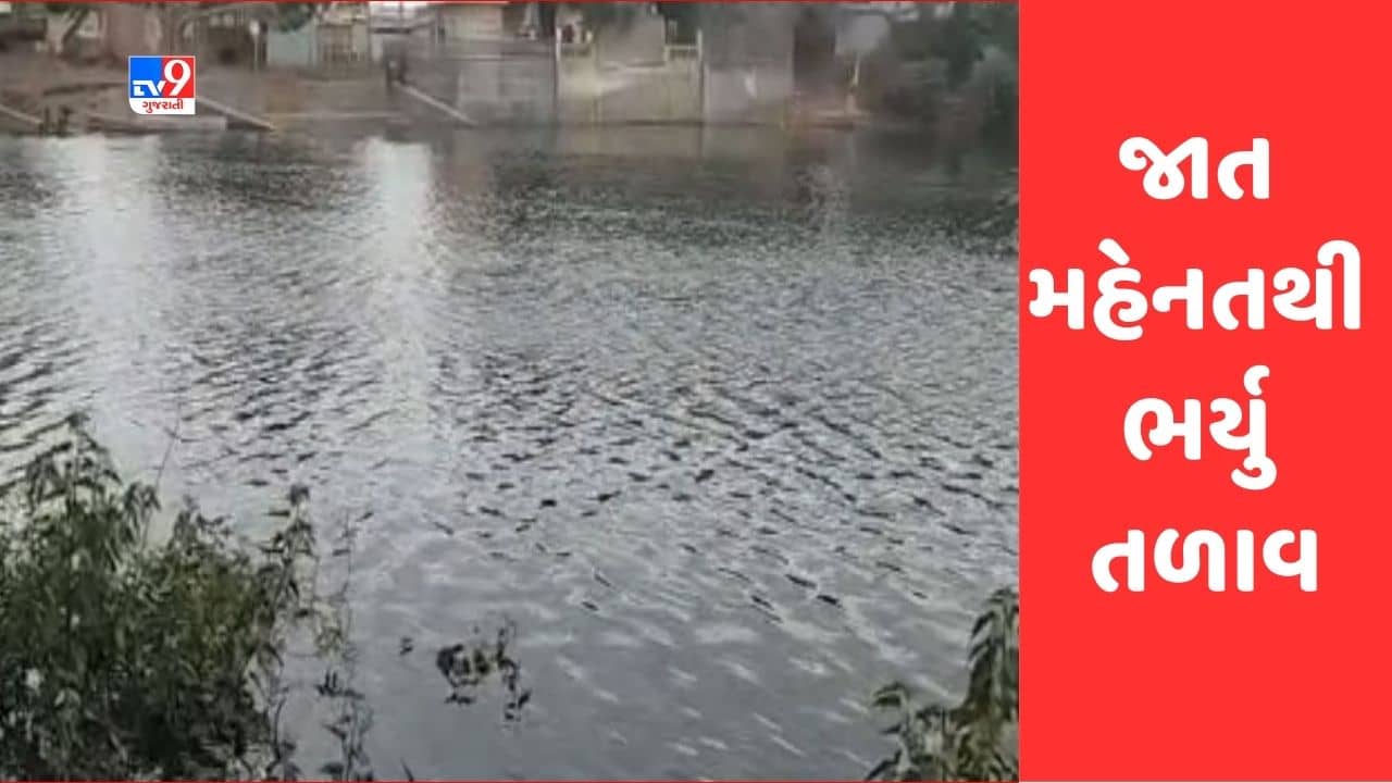 Gujarati Video: સુરેન્દ્રનગરના ઢાંકી ગામના લોકોની મહેનત લાવી રંગ, ઉનાળામાં ખાલી થઈ જતુ તળાવ જાત મહેનતથી ભર્યુ, જુઓ Video