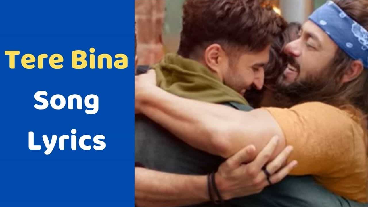 Tere Bina Song Lyrics : સલમાન ખાનની ફિલ્મ કિસી કા ભાઈ કિસીકી જાનનું લેટેસ્ટ સોંગ તેરે બિનાના લિરિક્સ