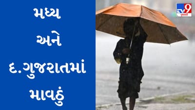 Rain Breaking : મધ્ય અને દક્ષિણ ગુજરાતમાં માવઠું, વાતાવરણમાં ઠંડક, જગતના તાતની ચિંતામાં વધારો, જુઓ Video