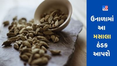 Cooling Spices: ઉનાળામાં આ ઠંડા મસાલા કરશે તમારા પાચનતંત્રને ફાઈન, વાંચો કઈ રીતે કરશો ઉપયોગ