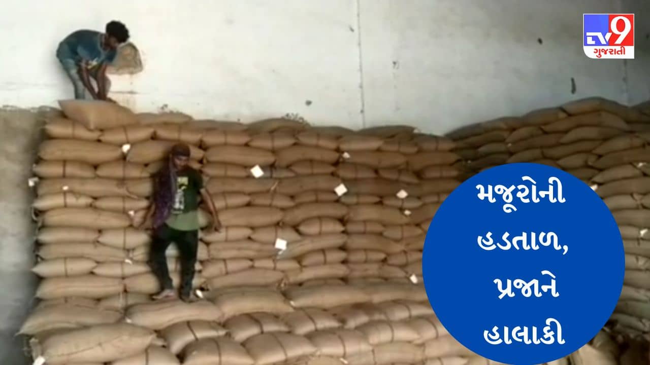 Gujarati Video : સુરેન્દ્રનગરમાં સરકારી ગોડાઉનના મજૂરો હડતાળ પર, સસ્તા અનાજના પૂરવઠાનુ વિતરણ ખોરવાઈ જવાની સંભાવના