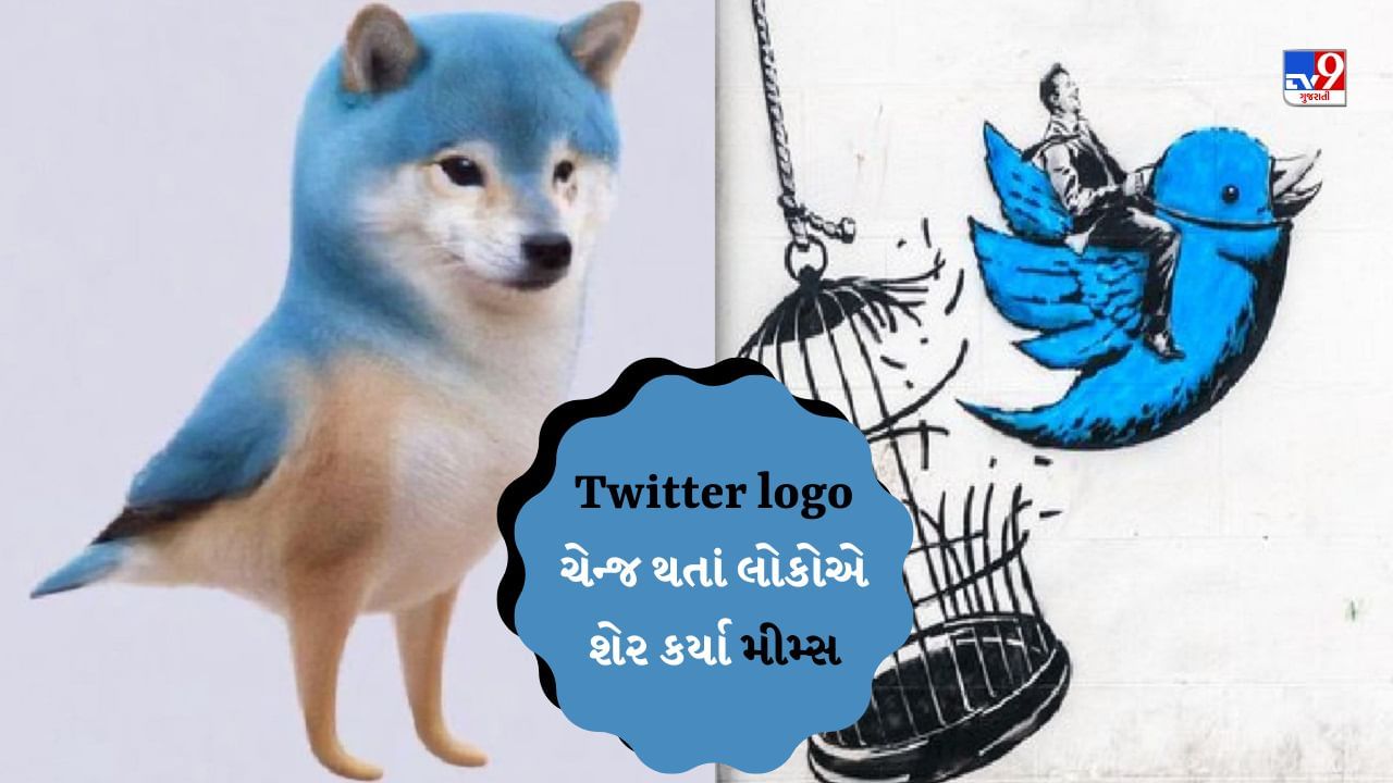 Memes Viral : Twitter logo ની લોકોએ મજાક ઉડાવી, જોરદાર મીમ્સ કરી રહ્યા છે શેર