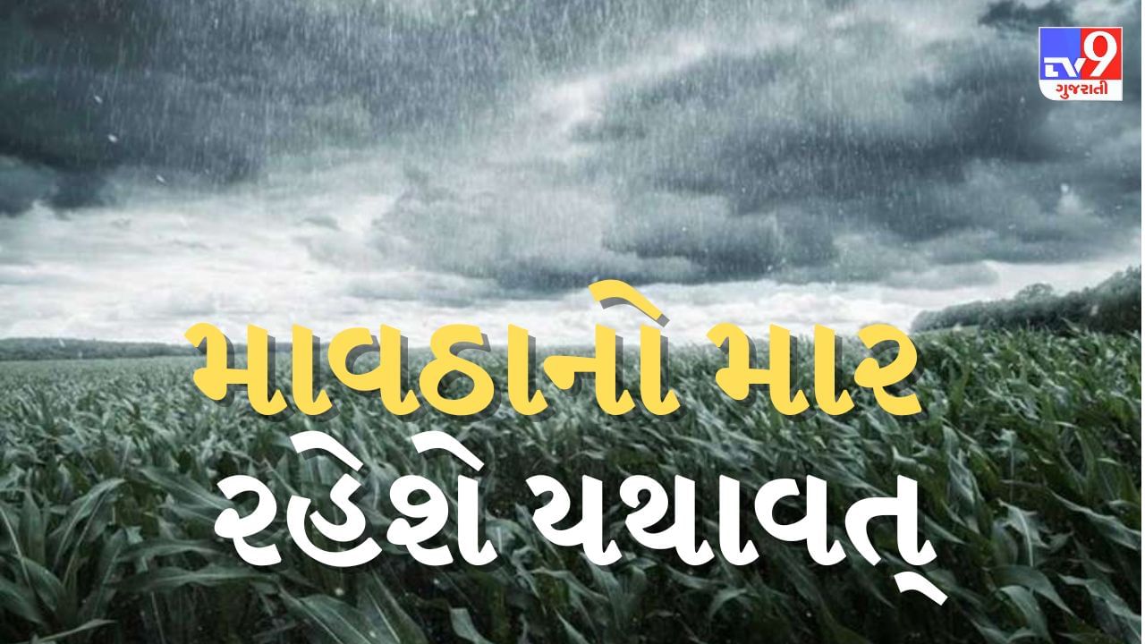 Weather Breaking : હજુ પણ ચાર દિવસ ગુજરાતમાં ગાજવીજ સાથે થશે વરસાદ,1 મેથી ફરી વેસ્ટર્ન ડિસ્ટર્બન્સ સક્રીય થશે