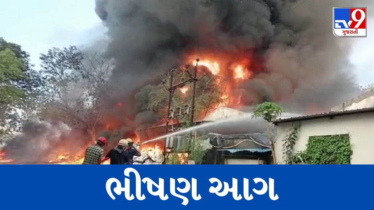 Breaking News : વડોદરા મકરપુરા GIDCમાં લાગી ભીષણ આગ, ફાયર બ્રિગેડના જવાનોની કલાકોની જહેમત બાદ પણ આગ પર નથી કરી શકાયો કાબુ