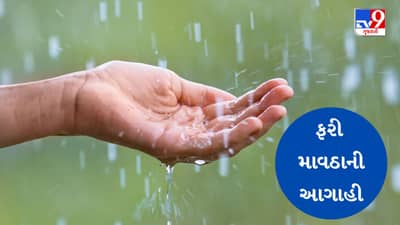 Breaking News : ગુજરાતમાં વરસાદનો વધુ એક રાઉન્ડ આવશે, 5 દિવસ કમોસમી વરસાદની આગાહી, અમદાવાદમાં પણ પડશે વરસાદ