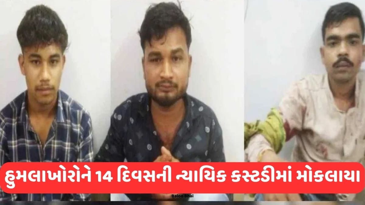 Breaking News: અતીક-અશરફની હત્યા કરનાર હુમલાખોરોને 14 દિવસની ન્યાયિક કસ્ટડીમાં મોકલાયા