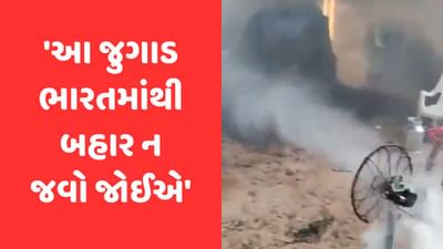 Viral Video: વ્યક્તિએ પશુઓને મચ્છરથી બચાવવા અપનાવ્યો દેશી જુગાડ, લોકોએ કહ્યું- 'જુગાડ ઓફ ધ યર'