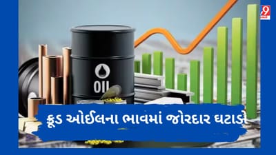 Commodity Market : ક્રૂડ ઓઈલમાં જોરદાર ઘટાડો, ભાવ 4%થી વધુ ઘટ્યા, જાણો અન્ય કોમોડિટીઝ કેવી રહી સ્થિતી