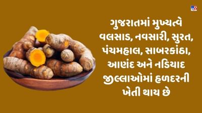 ગુજરાત રાજયમાં મુખ્યત્વે વલસાડ, નવસારી, સુરત, પંચમહાલ, સાબરકાંઠા, આણંદ અને નડિયાદ જીલ્લાઓમાં હળદરની ખેતી થાય છે.
