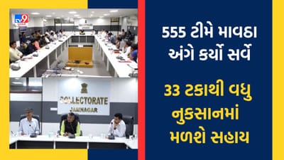Gujarati Video: રાજ્યના 13 જિલ્લાના 48 તાલુકામાં 555 ટીમે માવઠા અંગે સર્વે કર્યો, 33 ટકાથી વધુ નુકસાન થયું હશે તેવા ખેડૂતોને સહાય મળશે