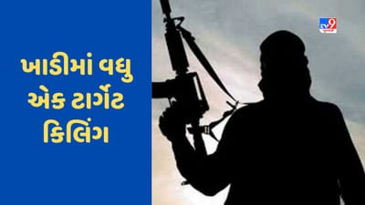 Target killing: કાશ્મીરની ઘાટીમાં ફરી ટાર્ગેટ કિલિંગ, આતંકવાદીઓએ બિન-કાશ્મીરીને મોતને ઘાટ ઉતાર્યો