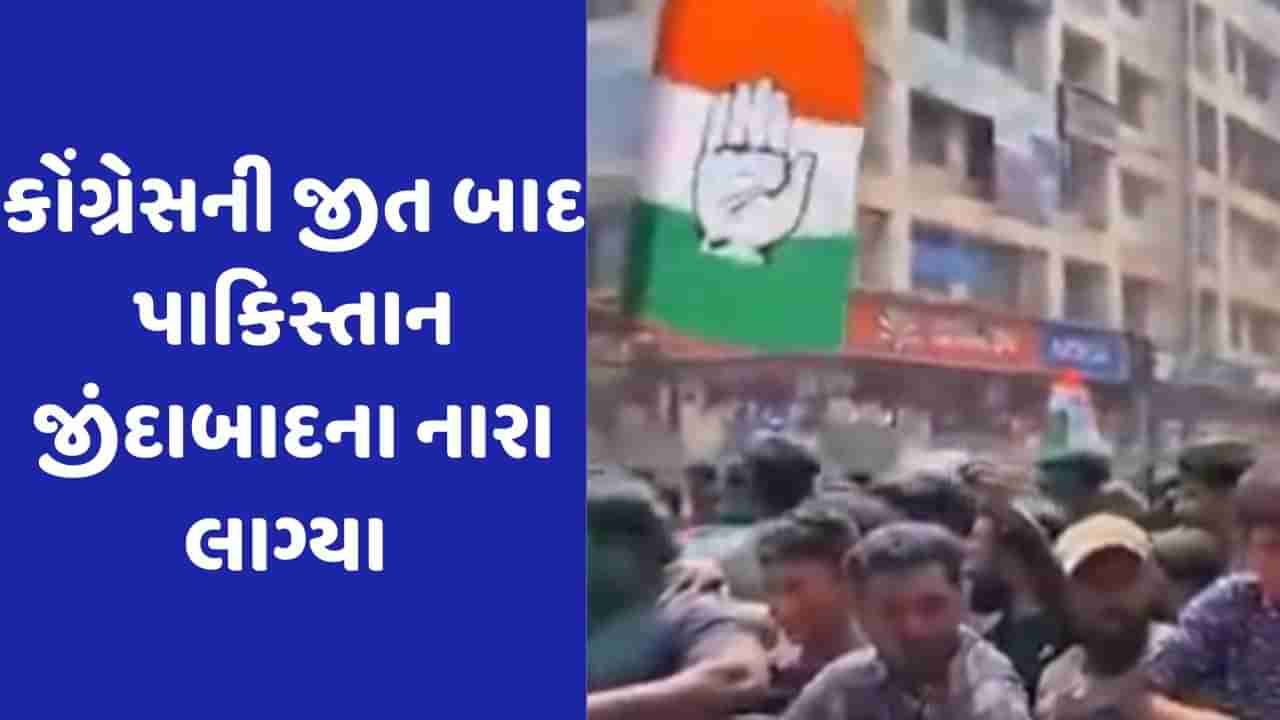 Viral Video: કર્ણાટકમાં કોંગ્રેસની જીત પર Pakistan ઝિંદાબાદના લાગ્યા નારા, પોલીસે નોંધી FIR