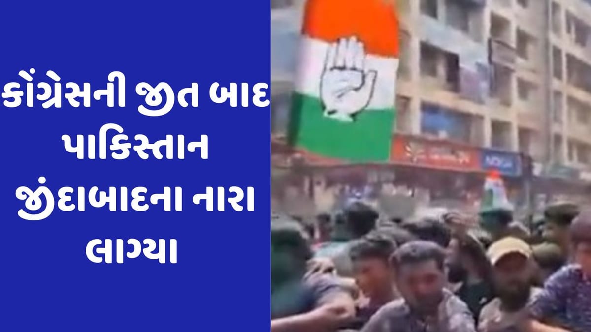 Viral Video: કર્ણાટકમાં કોંગ્રેસની જીત પર 'Pakistan ઝિંદાબાદ'ના લાગ્યા નારા, પોલીસે નોંધી FIR