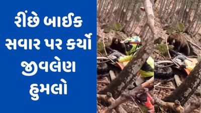Video Viral: જ્યારે રીંછે બાઈક સવાર પર કર્યો જીવલેણ હુમલો... તો મિત્રએ આ રીતે બચાવ્યો જીવ! ઘટનાનો વીડિયો વાયરલ