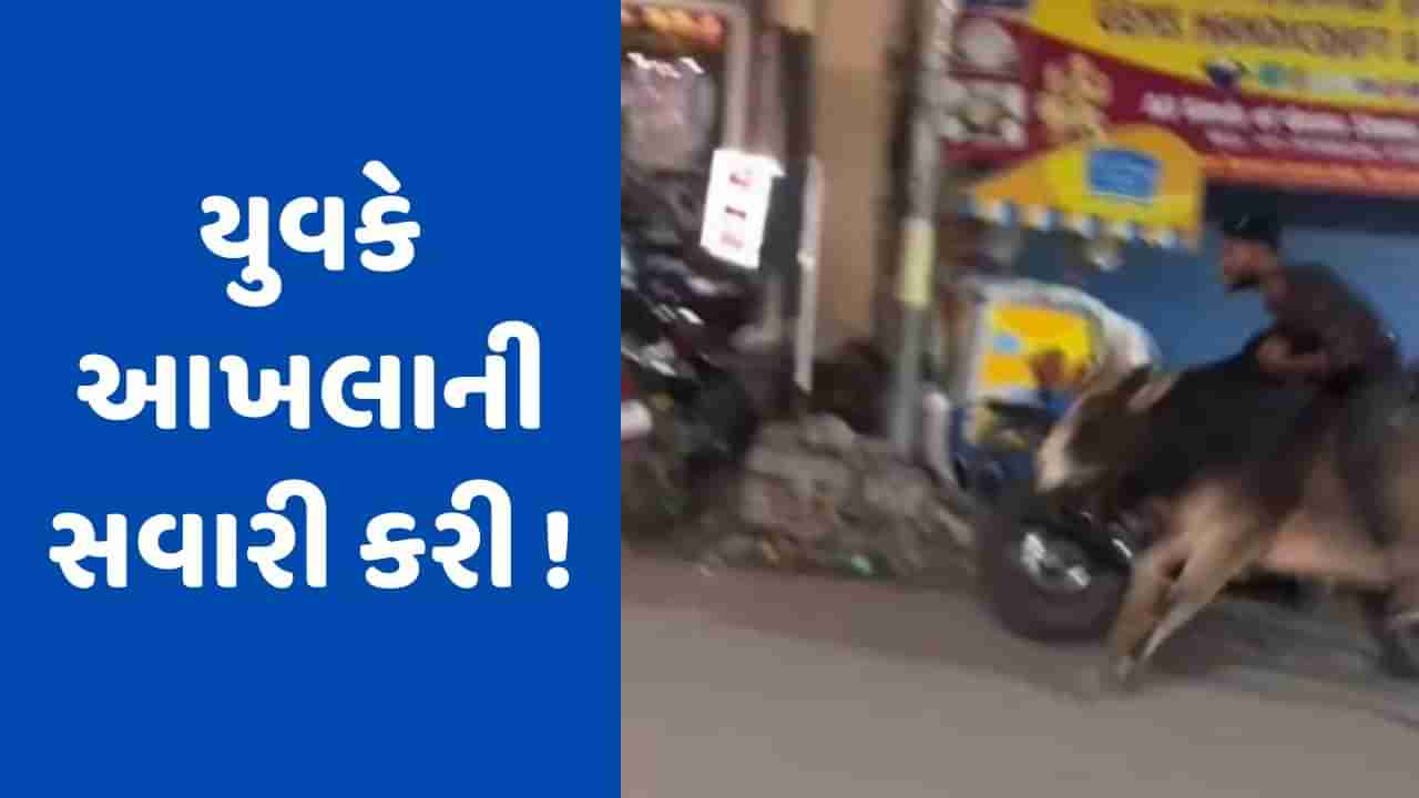 Viral Video: ઘોડાની જેમ આખલા પર સવારી કરતો જોવા મળ્યો વ્યક્તિ, સ્વેગ જોઈને લોકો થયા આશ્ચર્યચકિત