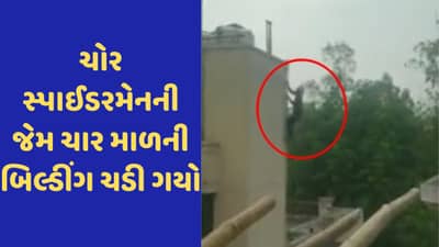 Viral Video: સ્પાઈડરમેનની જેમ ફિલ્મી સ્ટાઈલમાં ચાર માળની ઈમારત પર ચઢ્યો ચોર, પછી જે થયું છે તે જોવા જેવુ
