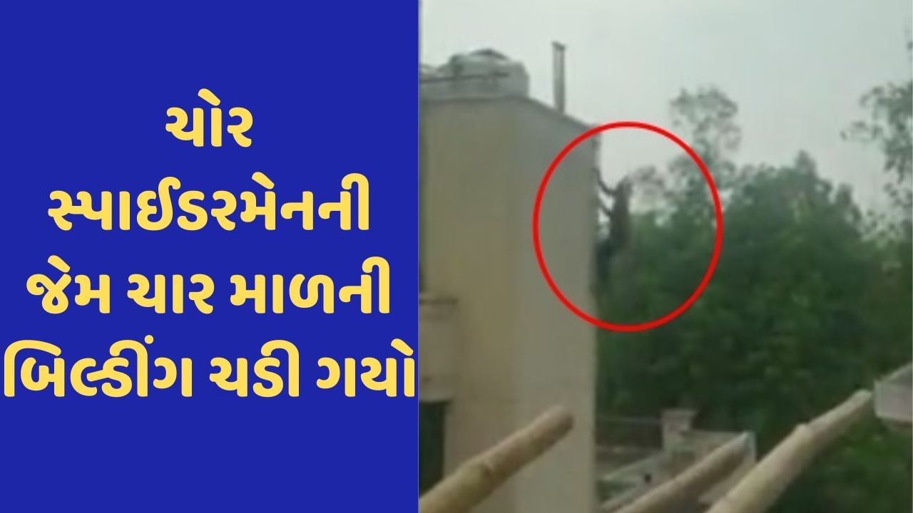 Viral Video: સ્પાઈડરમેનની જેમ ફિલ્મી સ્ટાઈલમાં ચાર માળની ઈમારત પર ચઢ્યો ચોર, પછી જે થયું છે તે જોવા જેવુ