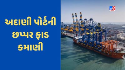 Adani Port: અદાણી પોર્ટનો મોટો ધડાકો, હિંડનબર્ગ રિપોર્ટ છતાં 3 મહિનામાં 1159 કરોડની કમાણી